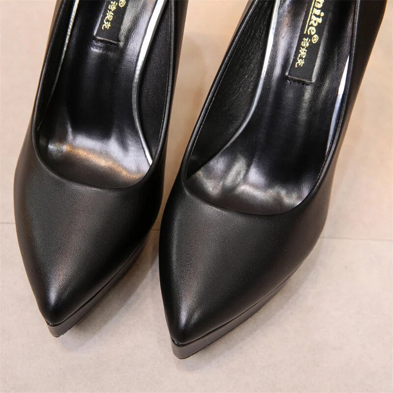 Ddbos Luxury Women Pumps Spring Autumn Slip-On Platform PU Leather 12cm Thin Heels Korean Style Casual Women Profession Shoes Black