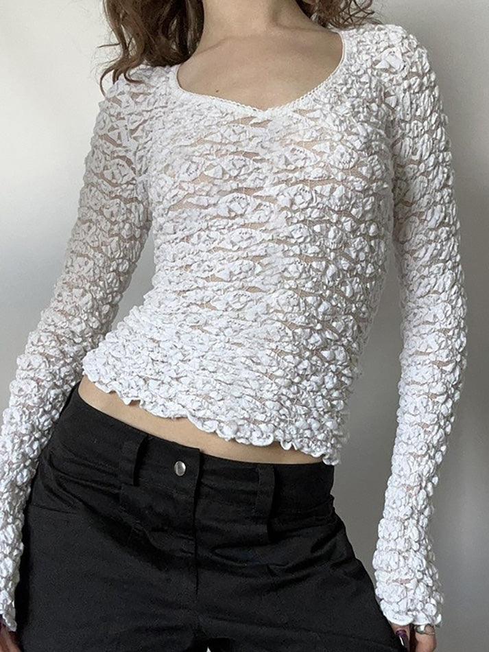 Ddbos - Lace Trim V Neck  Long Sleeve Crop Top