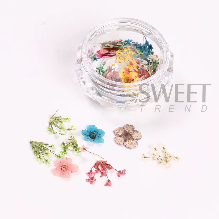 Ddbos 1Box Nail Art Flower Decoration Delicate 3D Dried Flower Nail Art Decorations Exquisite Nail Art Beauty For Charms Accessories