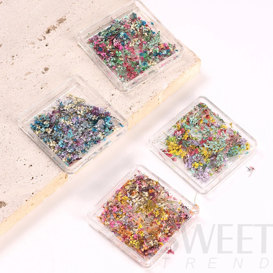 3D Charm Dried Flower Nail Orament Colorful Natural Lace Flowers Autumn Winter Decoration Tips Design DIY Manicure Art Accessory