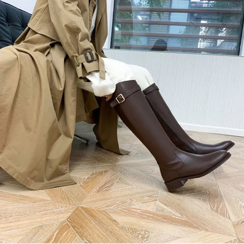 Ddbos Black Elegant with Low Heels Shoes for Woman Long Brown Women's Boots Winter Knee High Shaft Stylish Lastest Price Goth