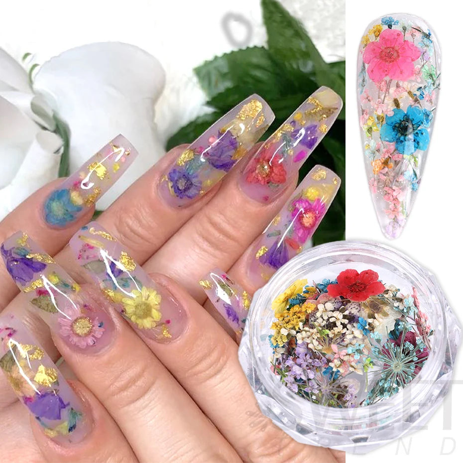 3D Charm Dried Flower Nail Orament Colorful Natural Lace Flowers Autumn Winter Decoration Tips Design DIY Manicure Art Accessory