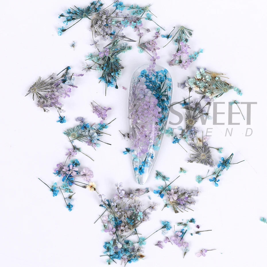 3D Charm Dried Flower Nail Orament Colorful Natural Lace Flowers Autumn Winter Decoration Tips Design DIY Manicure Art Accessory