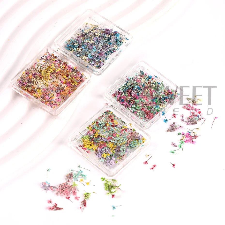 Ddbos 1Box Nail Art Flower Decoration Delicate 3D Dried Flower Nail Art Decorations Exquisite Nail Art Beauty For Charms Accessories