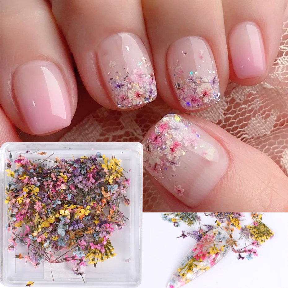 Ddbos 1Box Nail Art Flower Decoration Delicate 3D Dried Flower Nail Art Decorations Exquisite Nail Art Beauty For Charms Accessories