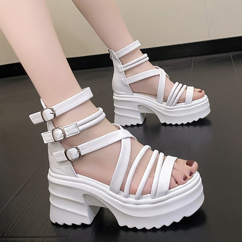 Ddbos Women's Fashion Ankle Strap Wedges Sandals Platform Chunky Heel Sandals for Women Summer Thick Bottom Gladiator Shoes Woman