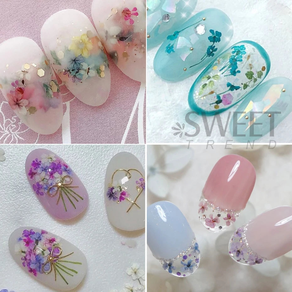 Ddbos 1Box Nail Art Flower Decoration Delicate 3D Dried Flower Nail Art Decorations Exquisite Nail Art Beauty For Charms Accessories