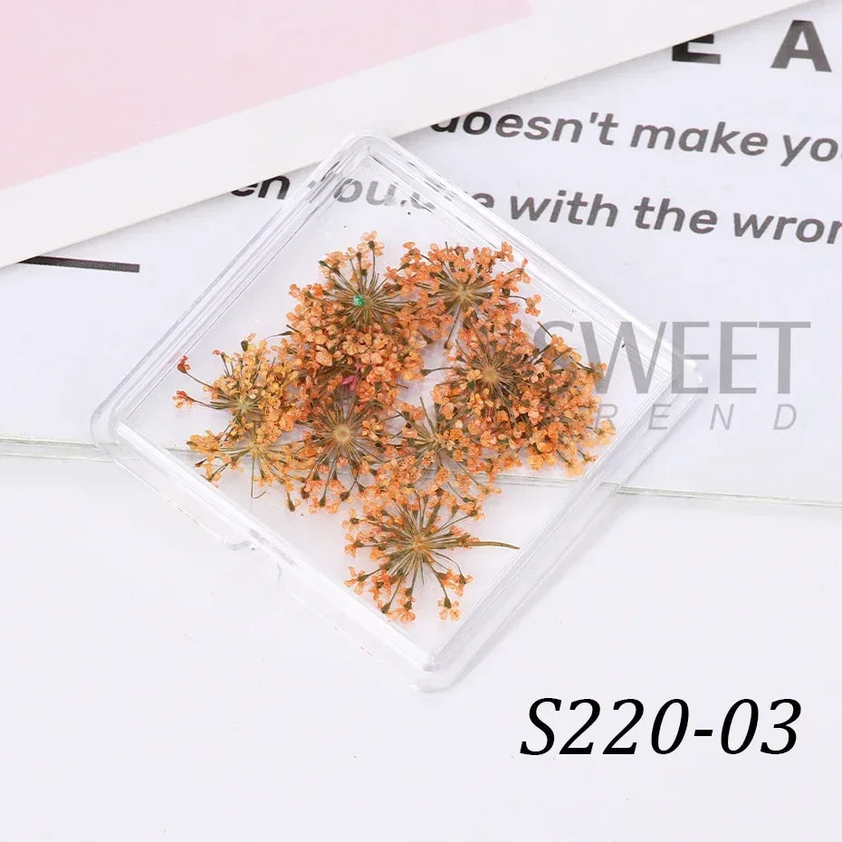 Ddbos 1Box Nail Art Flower Decoration Delicate 3D Dried Flower Nail Art Decorations Exquisite Nail Art Beauty For Charms Accessories